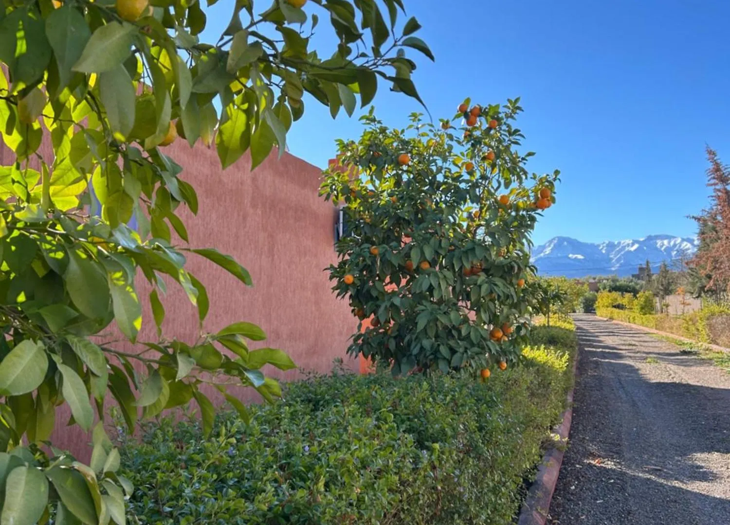 Hotel Les Orangers De l'Ourika à Douar Akkara Maison d'hôtes
