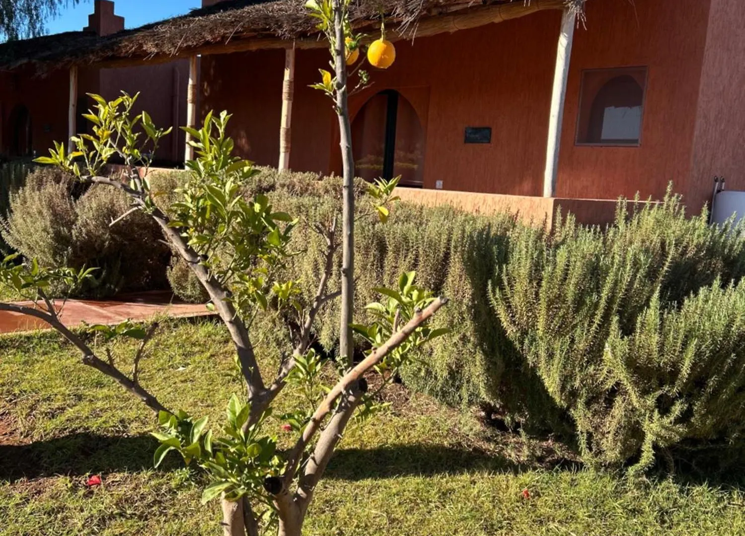 Maison d'hôtes Hotel Les Orangers De l'Ourika à Douar Akkara