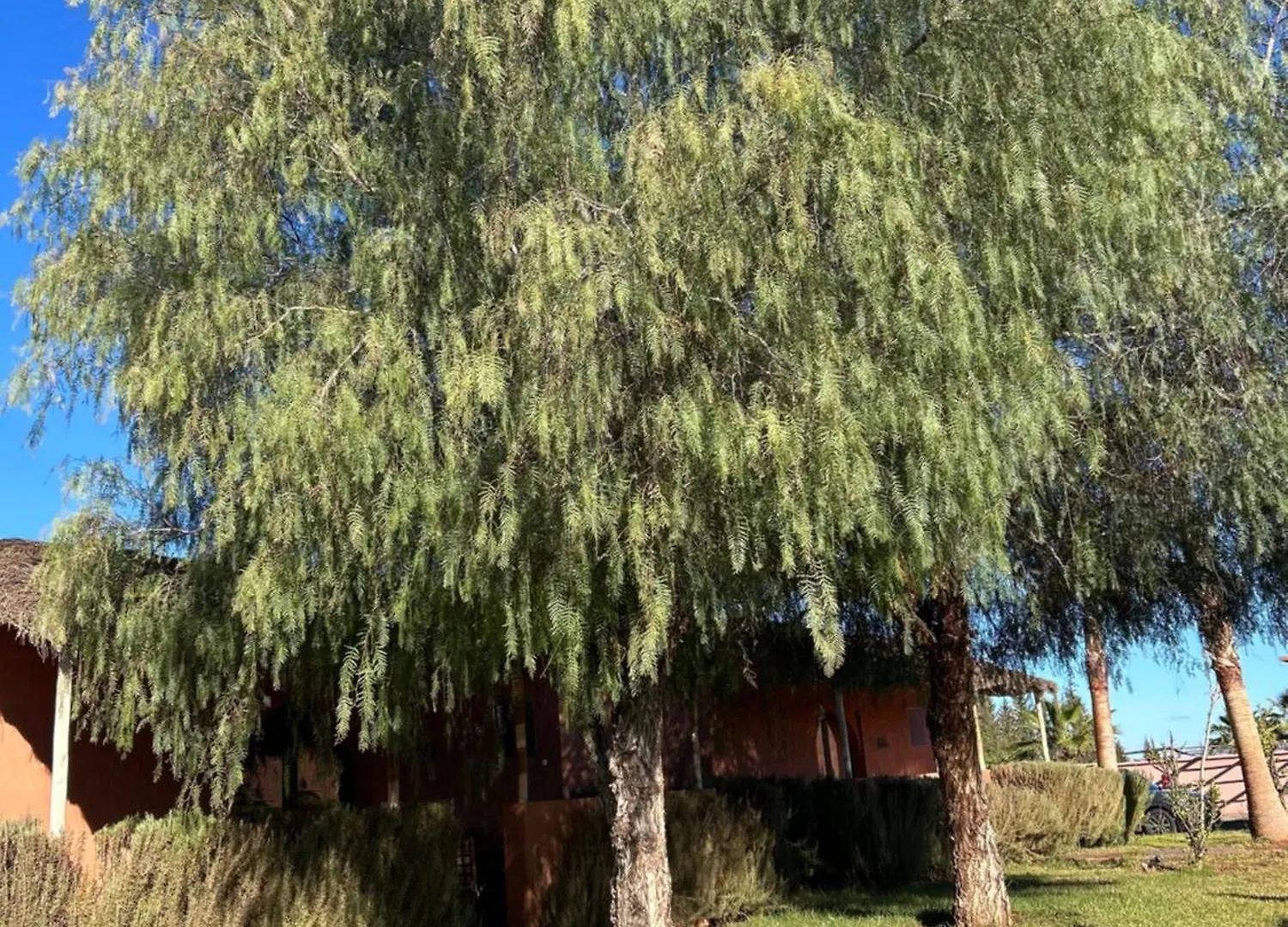 Hotel Les Orangers De l'Ourika à Douar Akkara Maison d'hôtes